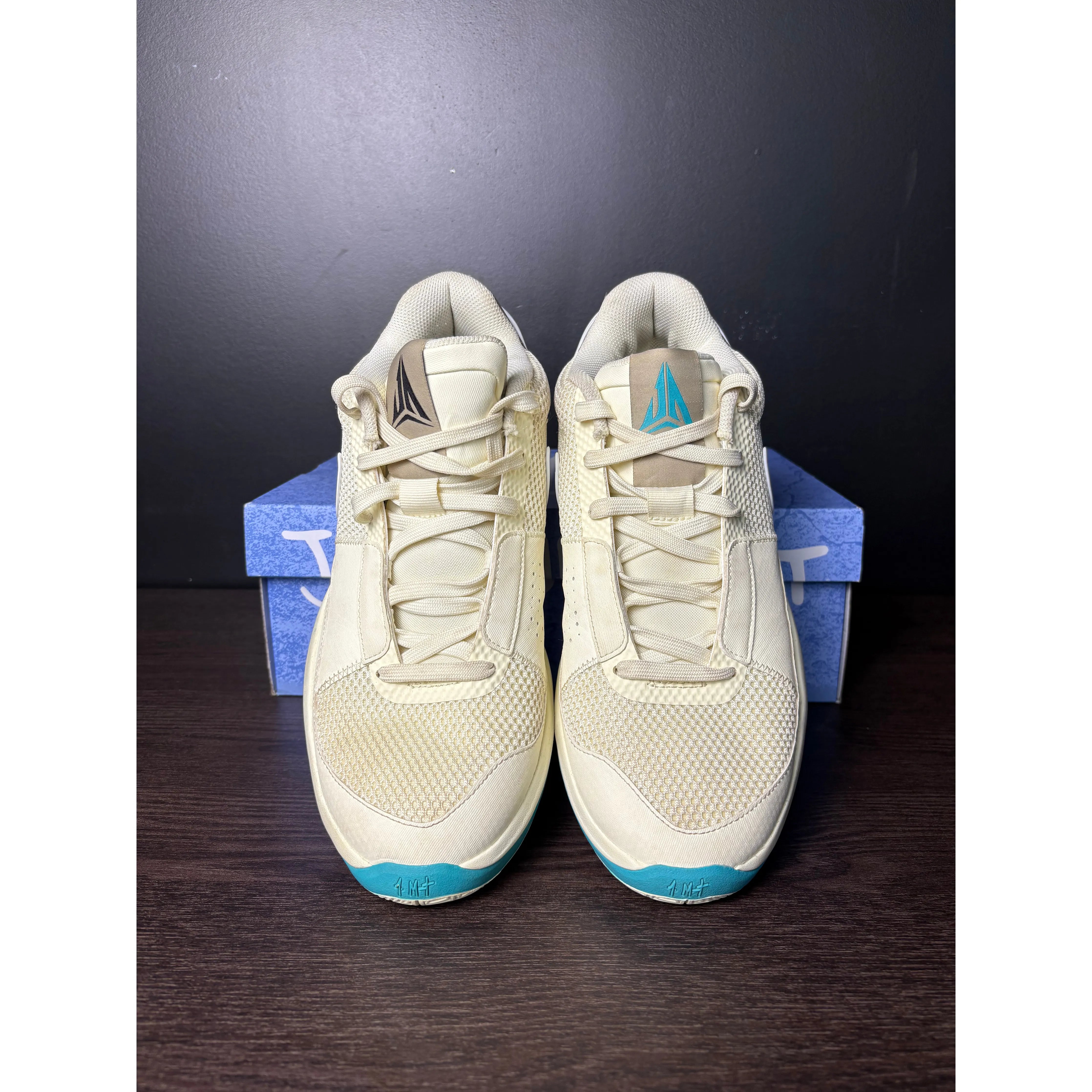 Nike Ja 1 "Seasonal" **PRE-OWNED**