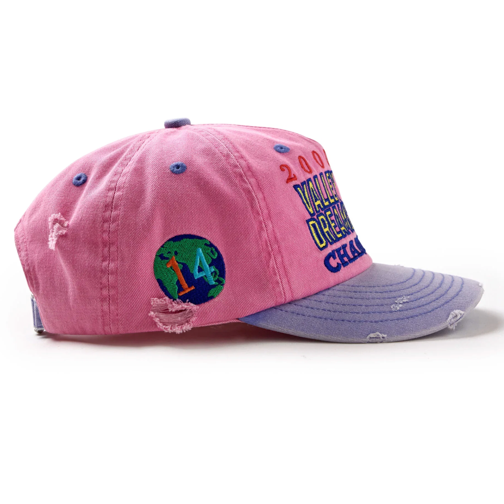 Vale Forever "Piggy Bank" Snap Hat (Pink)