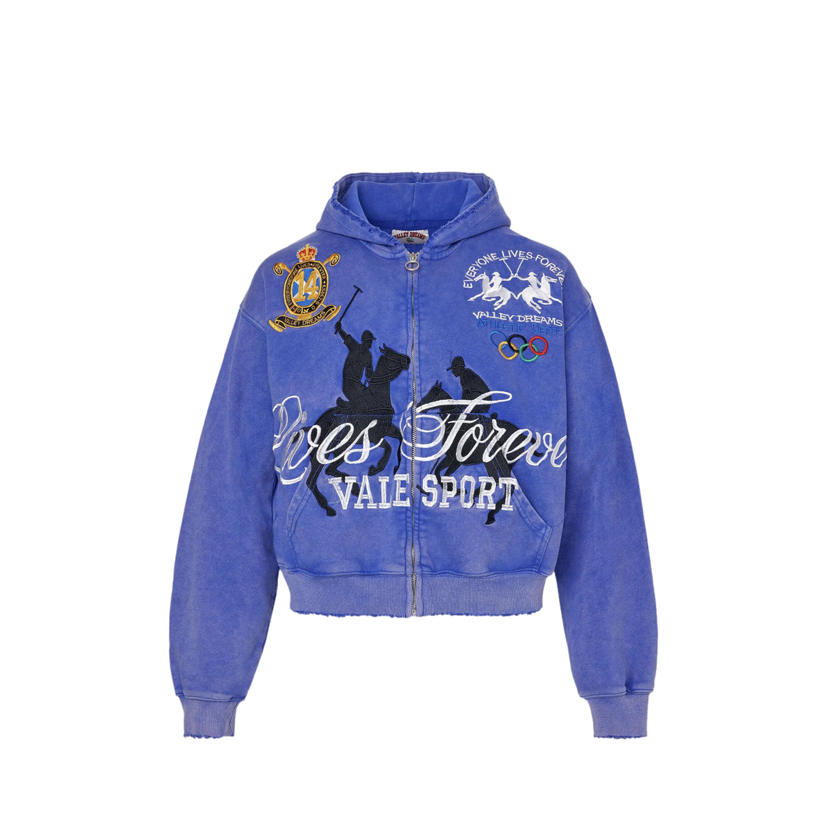 Vale Forever "Schwab" Zip Up (Blue)